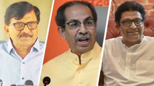 Sanjay Raut on Shiv sena and MNS Alliance