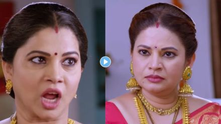 Savlyachi janu savli