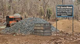 tree cutting in Sohale mine area news in marathi