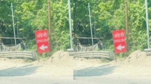 Roadside Board Viral