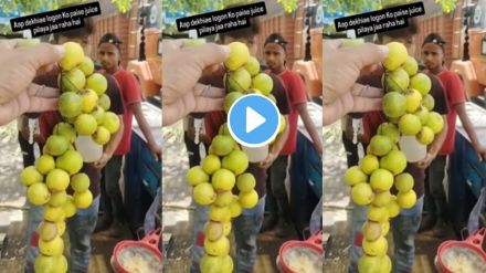 juice seller used temple lemons