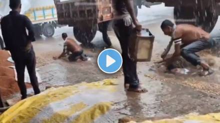Washim Farmer Heartbreaking viral Video