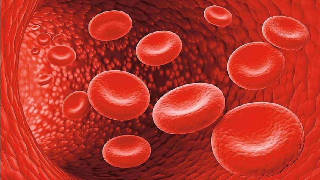 Thane Naupada Special workshop thalassemia awareness diagnosis patient care on Sept 14