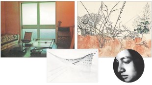 Nasreen Mohammadi, Art, History,