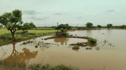 Phaltan in Satara, Phaltan rain , Satara latest news,