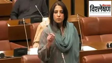 Who is Pakistani senator Palwasha Mohammad Zai Khan, who made controversial babari remark