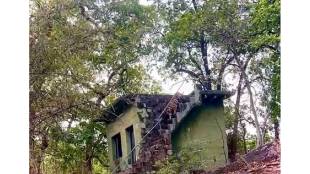 Wildlife enthusiast Tejas Palande witnessed a tiger climbing up and inspecting the forest in the Tala Core Zone of the Bandhavgad Tiger Reserve in Madhya Pradesh