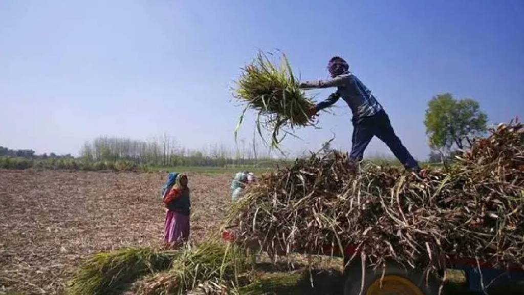 Ahilyanagar district agricultural credit supply decreases Ahilyanagar district agricultural credit supply decreases