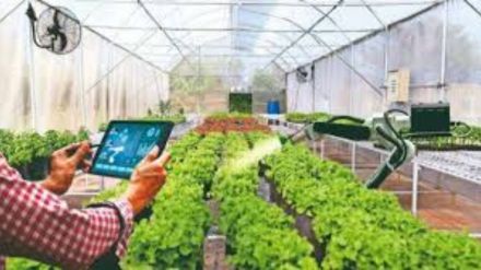 Maharashtra clears Artificial intelligence plan to enhance farming output