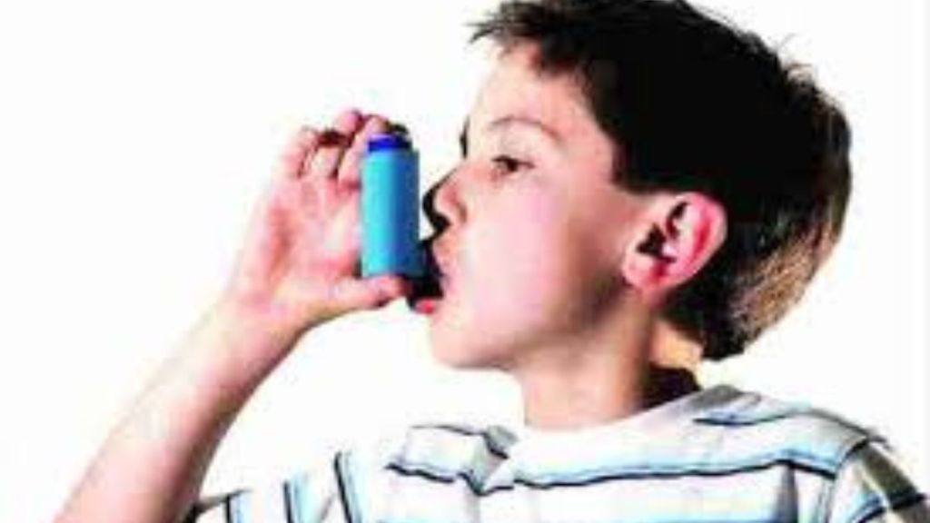 Nagpur World Asthma Day respiratory experts guidelines Nagpur World Asthma Day respiratory experts guidelines