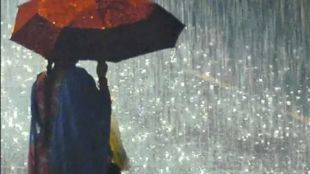 rain in the coming 24 hours in Vidarbha,