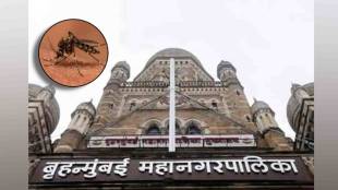 mosquito breeding site identification in Mumbai by bmc news in marathi