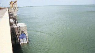 ujani dam