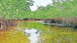 ts Chanakya wetlands