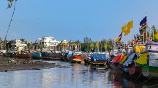 palghar fisheries news in marathi