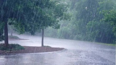 monsoon Maharashtra news in marathi