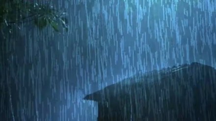 navi Mumbai rain loksatta news