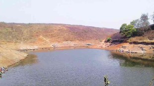 thane zp lakes conservation