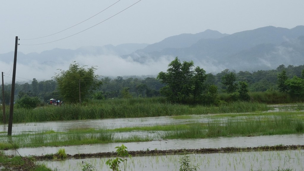 Pre-monsoon rain increased humidity in Marathwada Dr Dakhore urged farmers to delay sowing Pre-monsoon rain increased humidity in Marathwada Dr Dakhore urged farmers to delay sowing