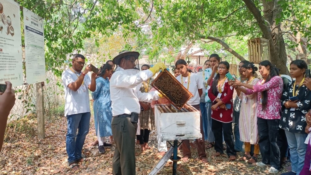 Dahanu Talasari beekeeping news in marathi