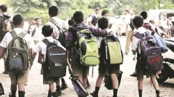‘एनईपी’च्या अंमलबजावणीबाबत शिक्षण विभागाचा मोठा निर्णय; कोणत्या विद्यार्थ्यांना करावा लागणार सेतू अभ्यासक्रम?