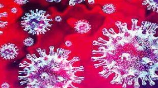 Number of corona patients increases in Mumbai in May Mumbai news