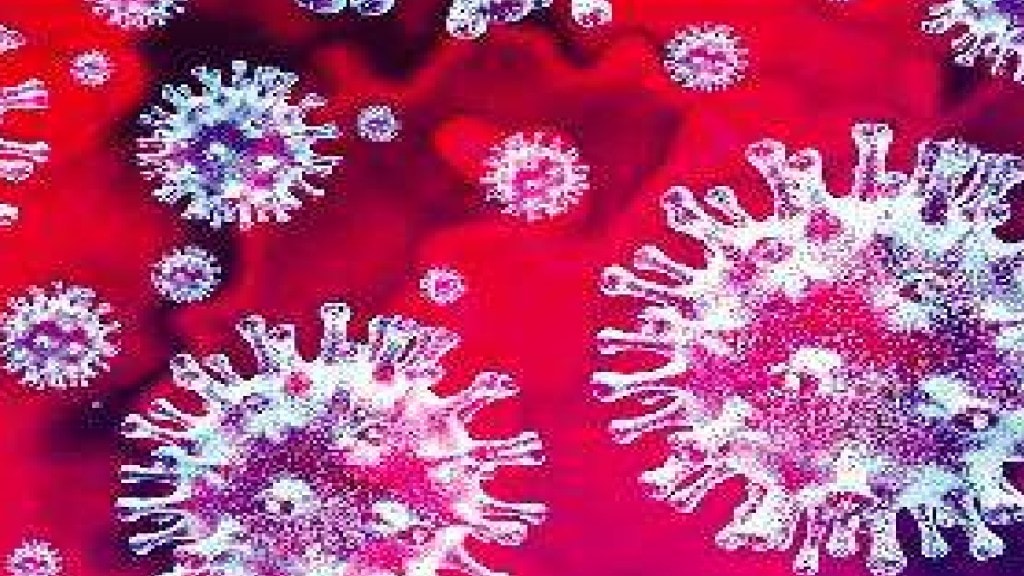 Number of corona patients increases in Mumbai in May Mumbai news
