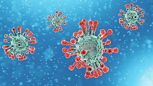 Mumbai coronavirus news in marathi