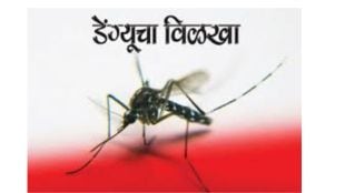 akola dengue outbreak maharashtra