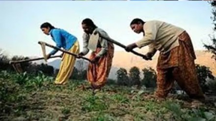 Loksatta Career BSc Honors Agriculture