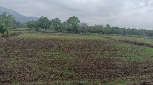 Unseasonal rains likely to delay Kharif rice cultivation