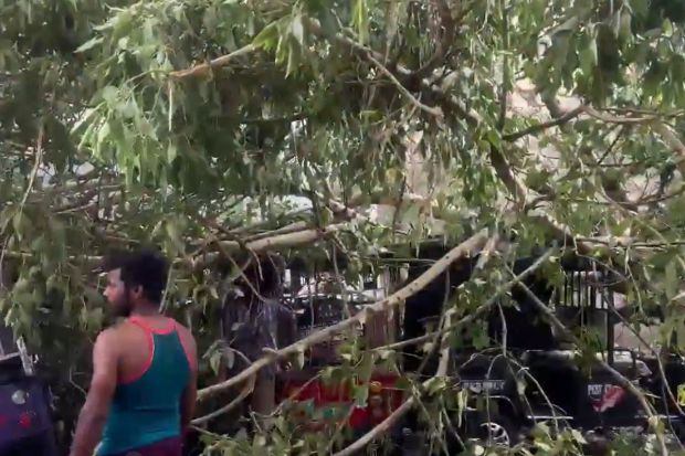 उत्तर प्रदेशातील नोएडामध्ये अनेक झाडे उन्मळून पडली, तुटली आणि रस्त्यांवर पडली, रिक्षाचालकांचे जीवनमान विस्कळीत झाले. या झाडाखाली पाचहून अधिक रिक्षा अडकल्या. (Photo: ANI)