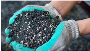 fertilizer-issue-maharashtra
