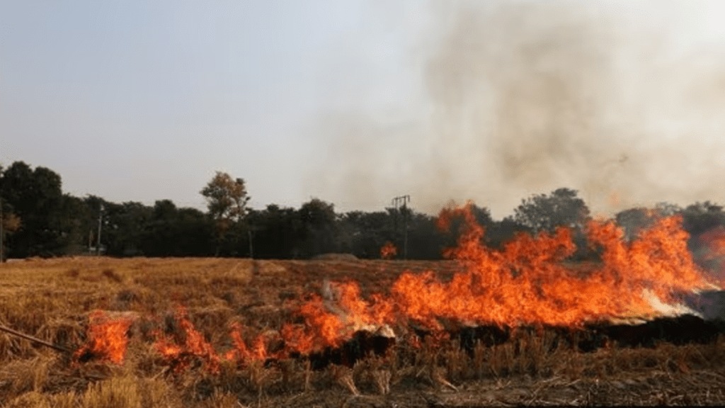 Cooking gas cylinder explosion in South Solapur destroys farm house Cooking gas cylinder explosion in South Solapur destroys farm house