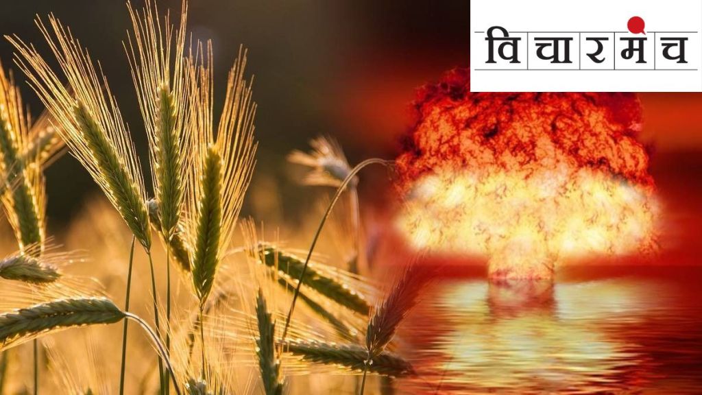 food-grain food-grain