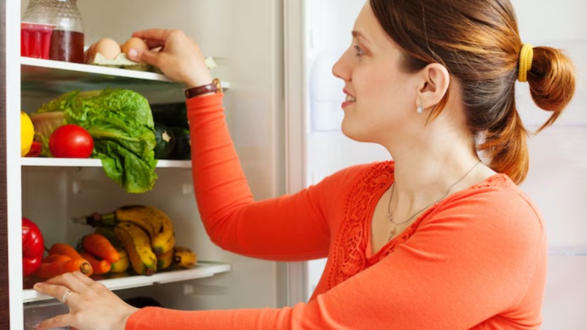 fridge care tips in summer