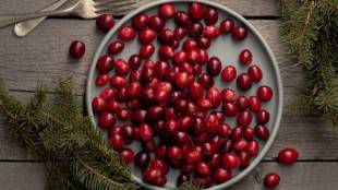 health benefits of cranberry