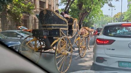 illegal use of horses Carriage in Mumbai