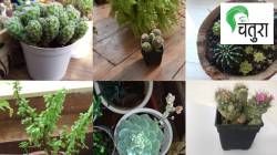 निसर्गलिपी: काही प्रश्न आणि उत्तरे