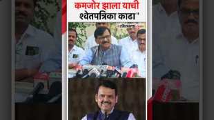 Sanjay Rauts attack on Devendra Fadnavis