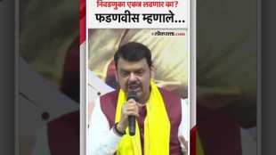 What did Devendra Fadnavis say when a journalist asked a question about local body elections