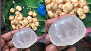 how to eat ice apple benefits