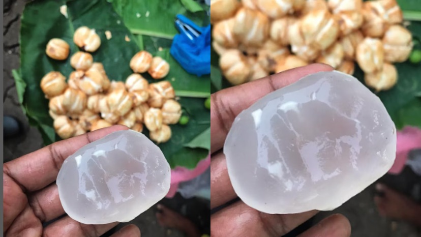 how to eat ice apple benefits