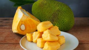 Benefits of eating jackfruit seeds