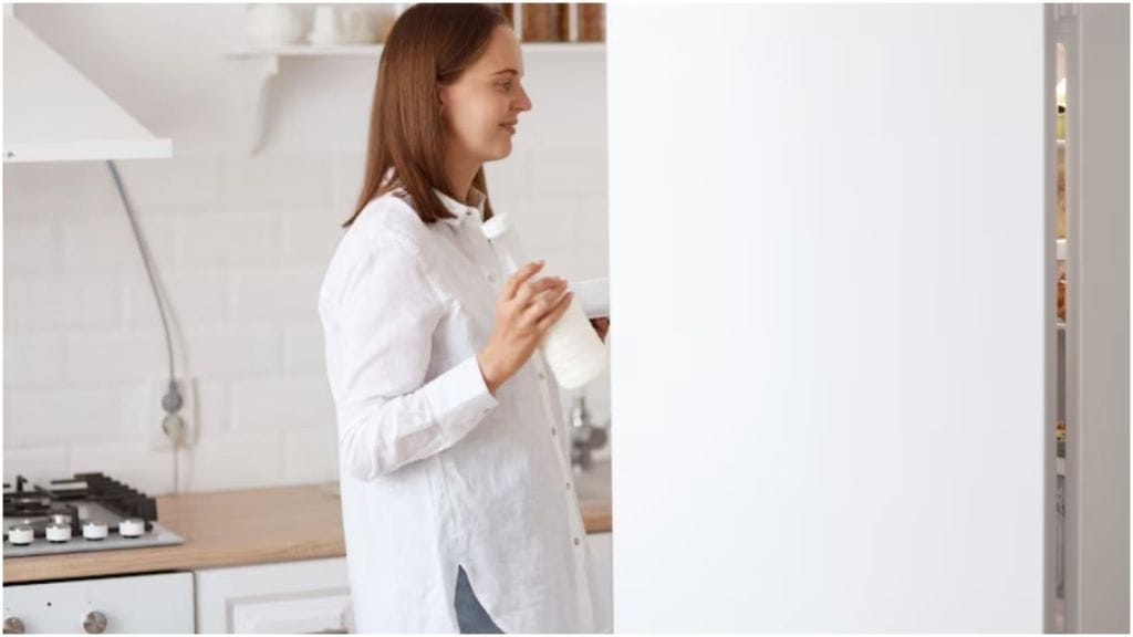 fridge care tips in summer