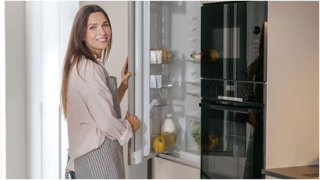 fridge care tips in summer