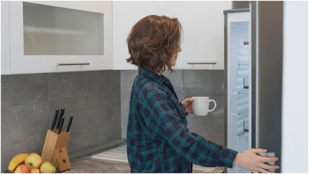 fridge care tips in summer
