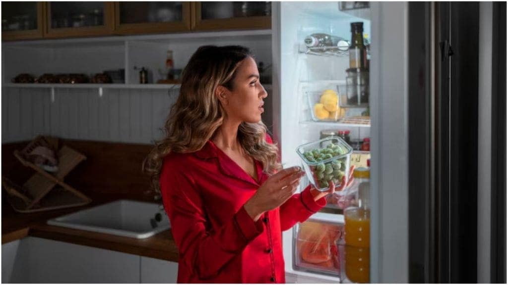 fridge care tips in summer