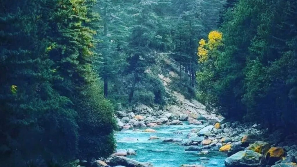  Kasol 