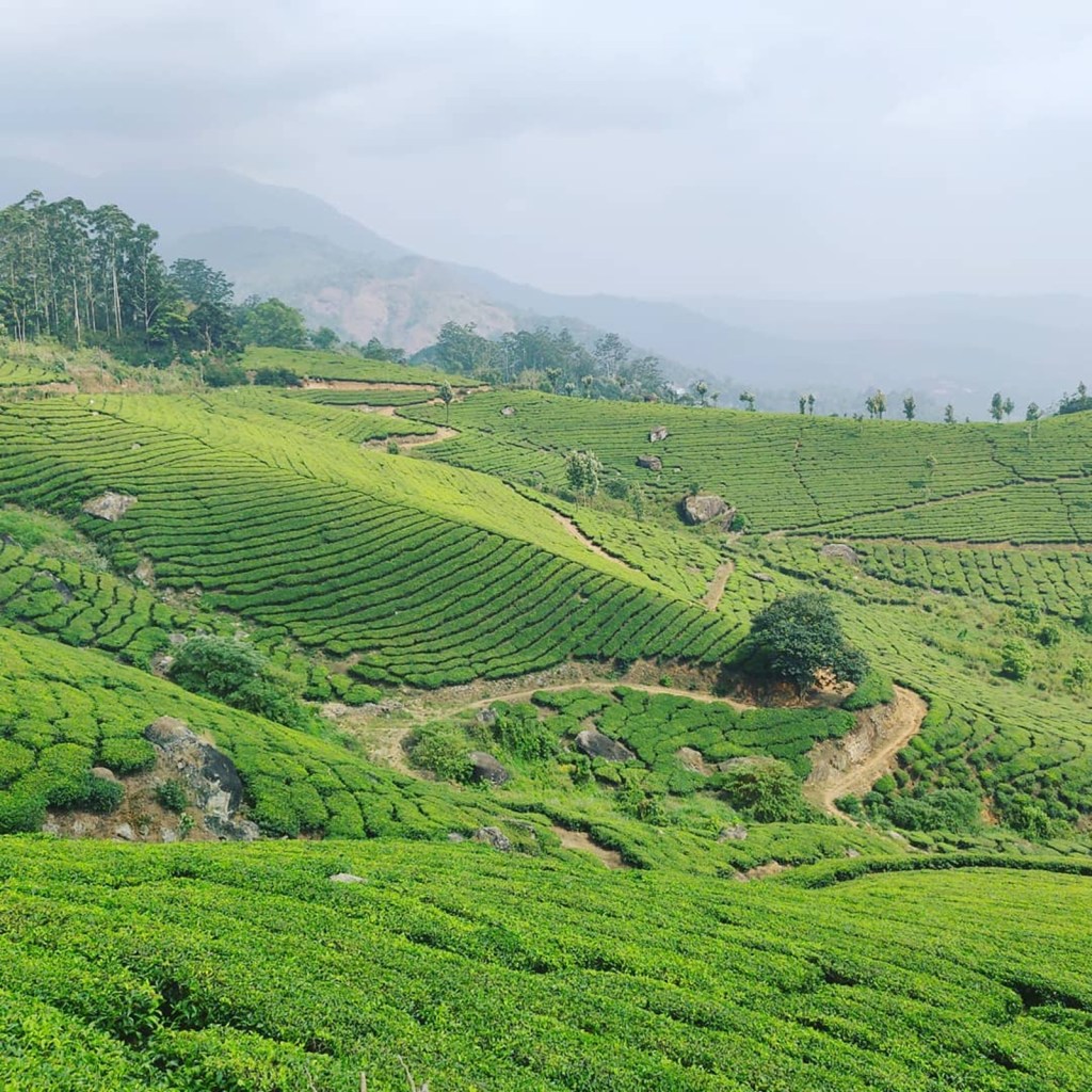hill stations | hill stations in kerala | famous tourist places in kerala | Kerala trip